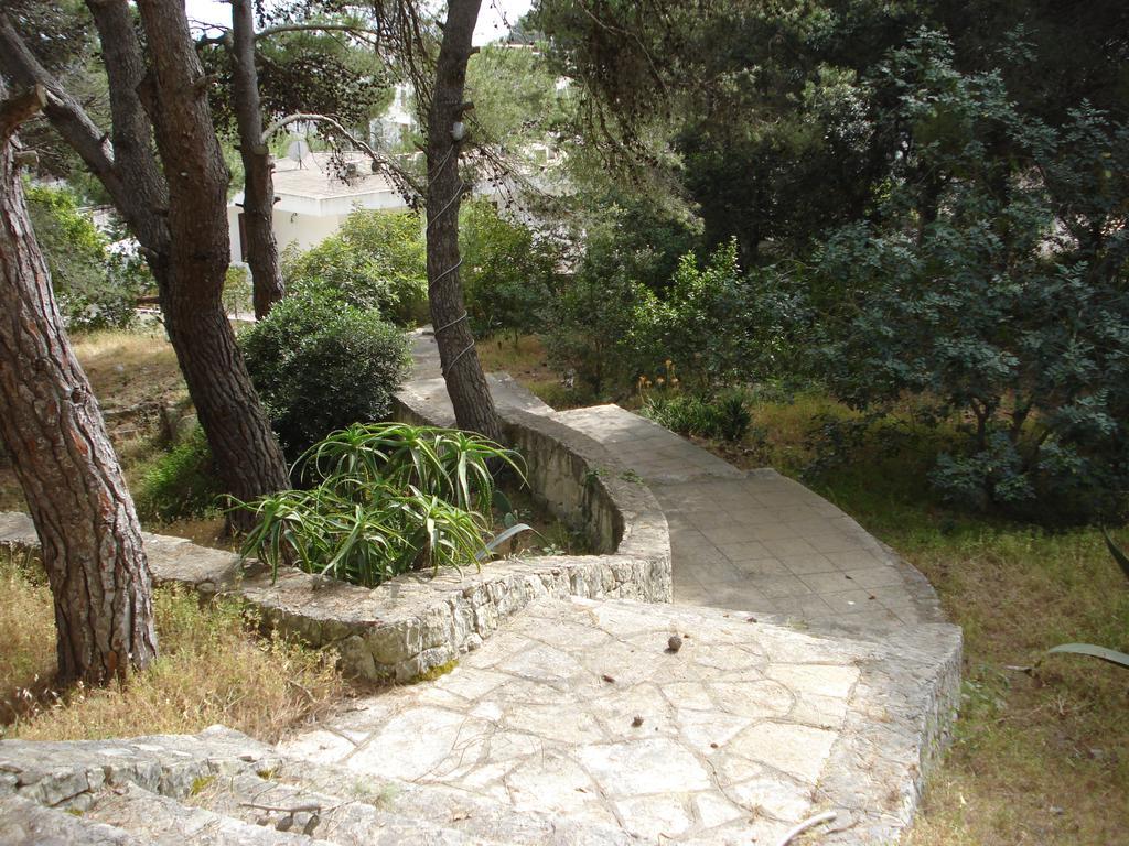 Trullo In The Wood Nardò
